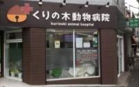 くりの木動物病院