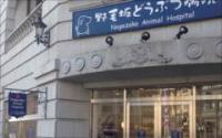 野毛坂どうぶつ病院
