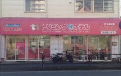 横浜ペットナビの検索結果イメージ