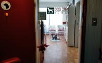 DOG CARE HOUSE Motomachi 　ドッグケアハウス元町～元町・中華街～