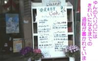 愛犬美容室じゅん