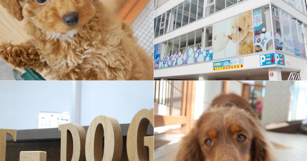 T Dog ティードッグ 関内 横浜市中区のペットホテル 横浜ペットナビ