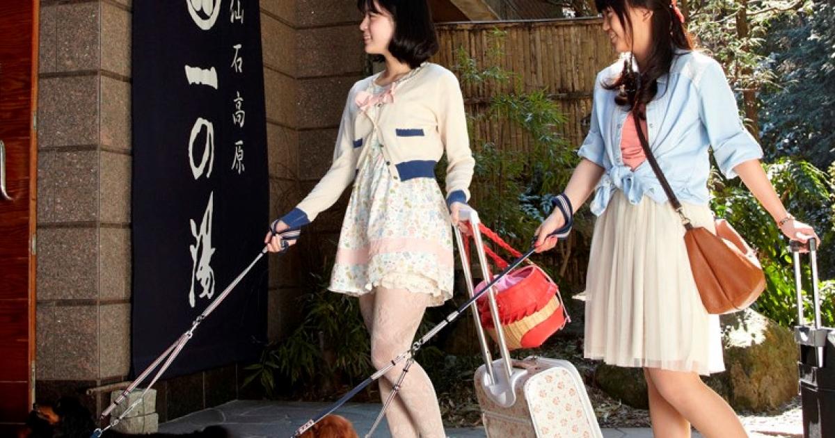 仙石高原 大箱根一の湯 大型犬ok 箱根 足柄下郡 横浜ペットナビ