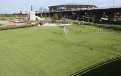 横浜ペットナビの検索結果イメージ