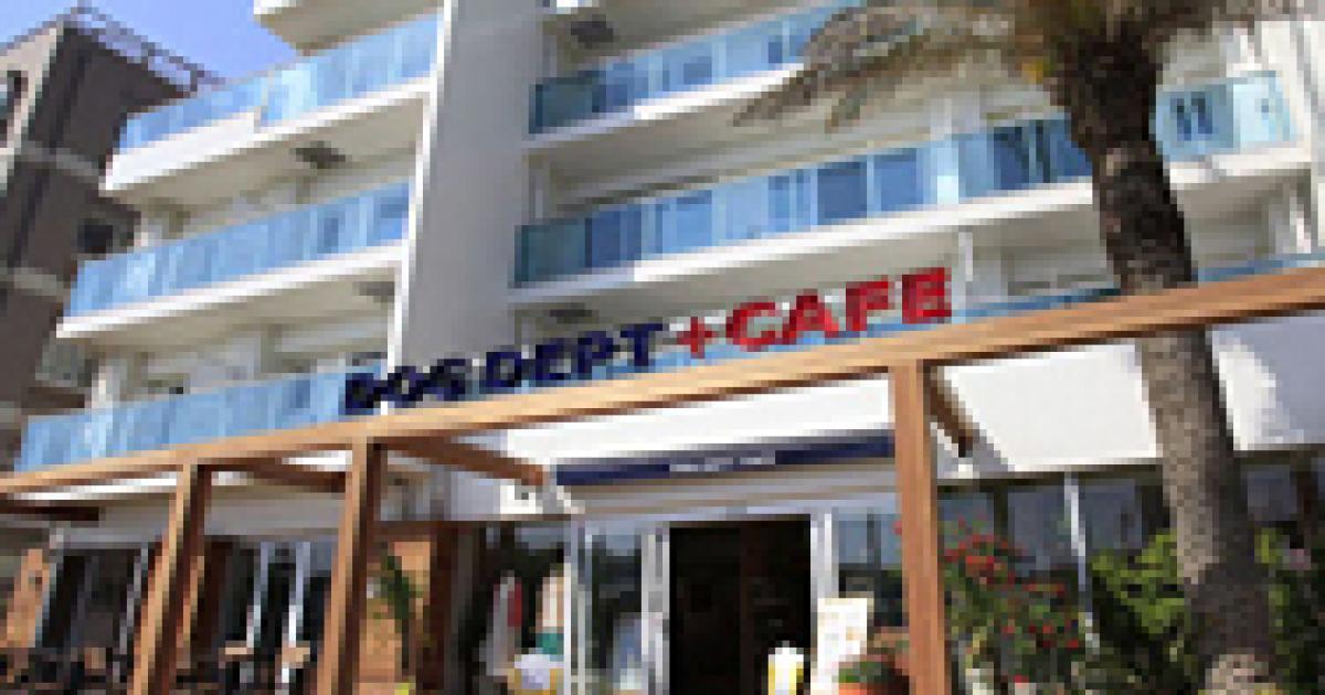 Dog Dept Cafeドッグデプト カフェ湘南江ノ島店 ワンちゃん入店ok ドッグランあり 江の島 藤沢市 横浜ペットナビ