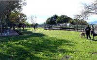相模原公園ドッグラン【会員制】～当麻～