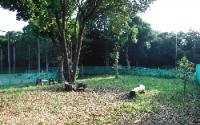 入船公園ドッグラン【登録制】〜鶴見〜