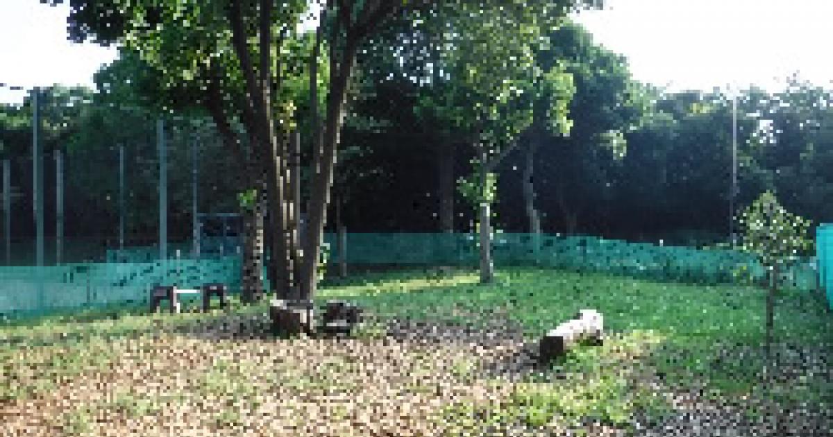 入船公園ドッグラン 登録制 鶴見 横浜市鶴見区 横浜ペットナビ