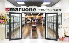 横浜ペットナビの検索結果イメージ