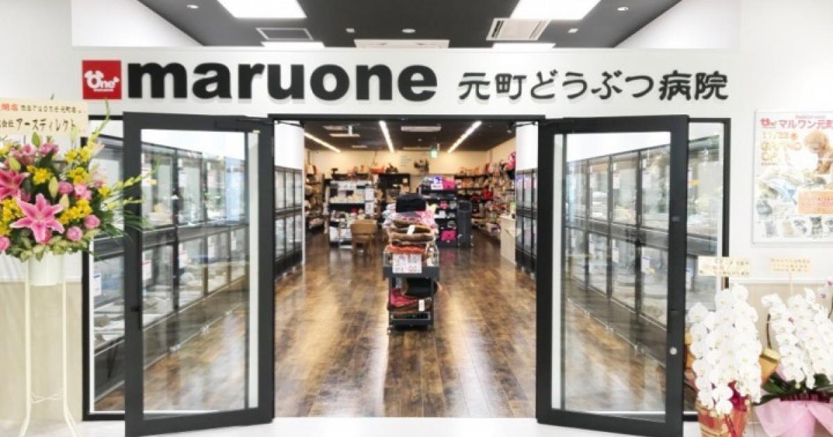 口コミをする 横浜市中区のペットホテル マルワン元町店 元町 のご案内 横浜ペットナビ