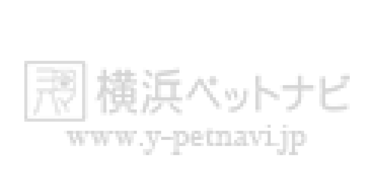 猫カフェ 猫がいるレンタルスペース Velcat馬車道店 馬車道 横浜市中区 横浜ペットナビ