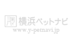 横浜ペットナビの検索結果イメージ