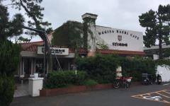横浜ペットナビの検索結果イメージ
