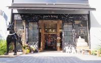 paw's livingマリン＆ウォーク横浜店 パウズリビング