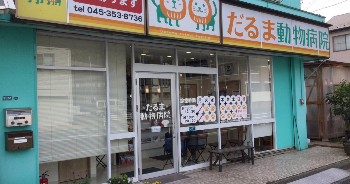 だるま動物病院 横浜市金沢区の動物病院 横浜ペットナビ