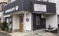 ドッグズトリミングアプリコット 藤沢村岡店