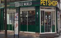 フェレットワールドみなとみらい店
