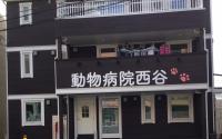 動物病院　西谷