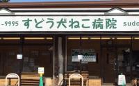 すどう犬ねこ病院