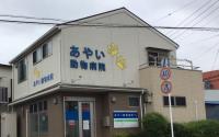 あやい動物病院