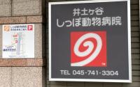 井土ケ谷しっぽ動物病院