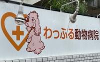わっふる動物病院