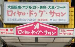 横浜ペットナビの検索結果イメージ