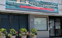 東戸塚ペットクリニック