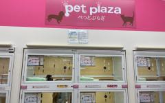 横浜ペットナビの検索結果イメージ
