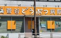 菅谷どうぶつ病院