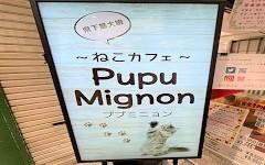 横浜ペットナビの検索結果イメージ