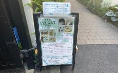横浜ペットナビの検索結果イメージ