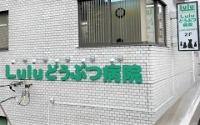Luluどうぶつ病院