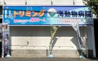 海動物病院 横須賀往診所