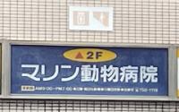 マリン動物病院