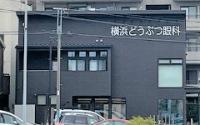 横浜どうぶつ眼科