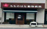 もものはな動物病院