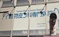 動物皮フ科専門病院