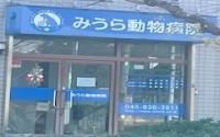 みうら動物病院