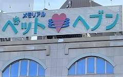 横浜ペットナビの検索結果イメージ
