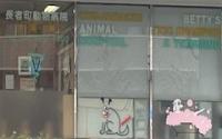 長者町動物病院