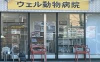 ウェル動物病院