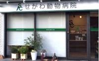 せがわ動物病院