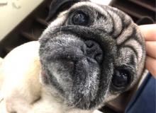 関内どうぶつサロンBran ブラン　～関内～