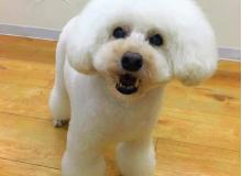 関内どうぶつサロンBran ブラン　～関内～