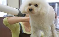 関内どうぶつサロンBran ブラン　～関内～