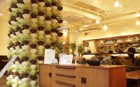 鎌倉bowls(ボウルズ)【店内テラス席はわんちゃん同伴OK☆】〜鎌倉〜