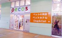 Pecos海老名店 海老名 海老名市のペットホテル 横浜ペットナビ