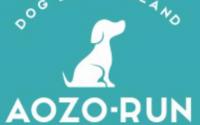 AOZO-RUN