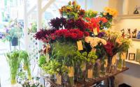 花Lab.Nocturne 横浜元町　ハナラボノクターン【店内1Fと２Fの一部はわんちゃん同伴OK☆】～元町～